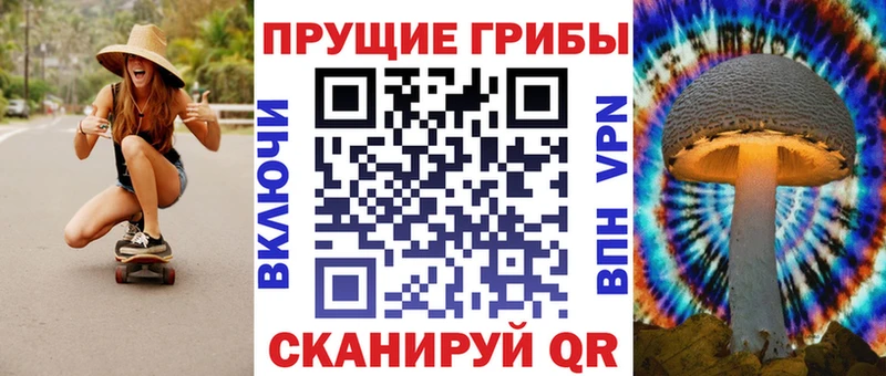 где можно купить наркотик  Чайковский  mega ТОР  Галлюциногенные грибы Psilocybine cubensis 