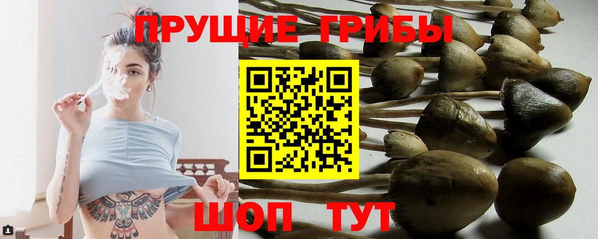 Псилоцибиновые грибы GOLDEN TEACHER  Псилоцибиновые грибы Cubensis  Чайковский  Вход с VPN 