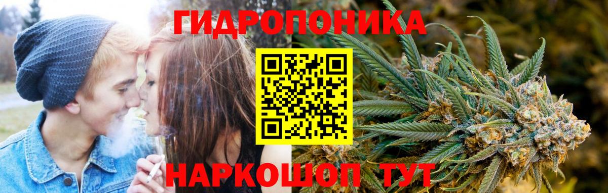 Марихуана VHQ  Вход с VPN  Бошки марихуана семена  Шишки марихуана THC 21%  Чайковский 